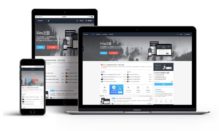 轻量级个人企业风格博客主题 Vieu去授权无限制版(更新V4.5)WordPress主题模板
